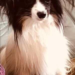 Meet your Posher, Hr